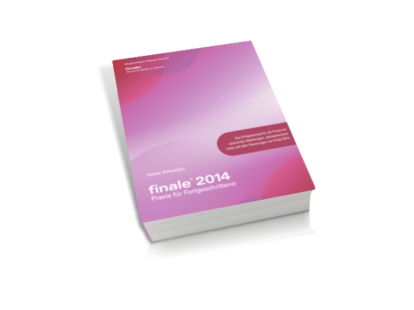 Buch „Finale 2014 - Praxis für Fortgeschrittene“ von Stefan Schwalgin