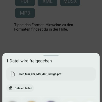 DLS - Smartphone Teilen System